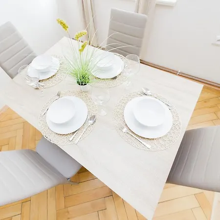 Apartment Tesnov Prague